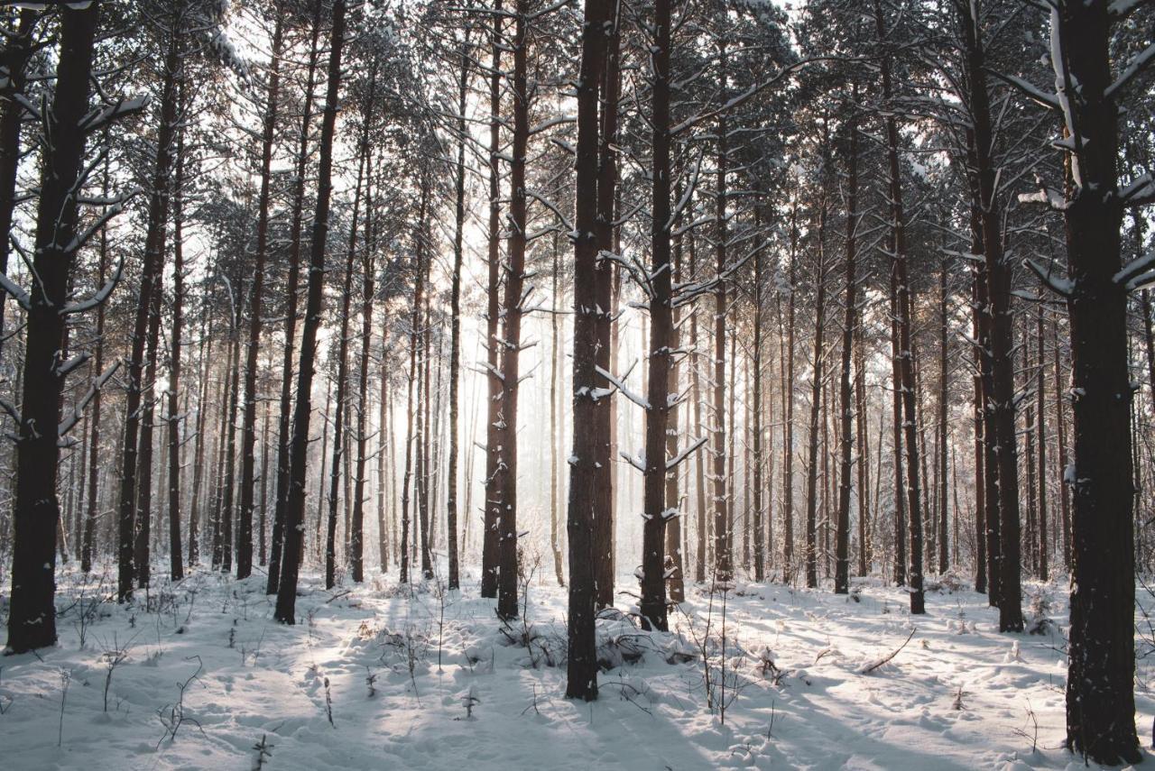 Jarzebinowa - Dom Do Wynajecia Na Podlasiu Luka Dış mekan fotoğraf